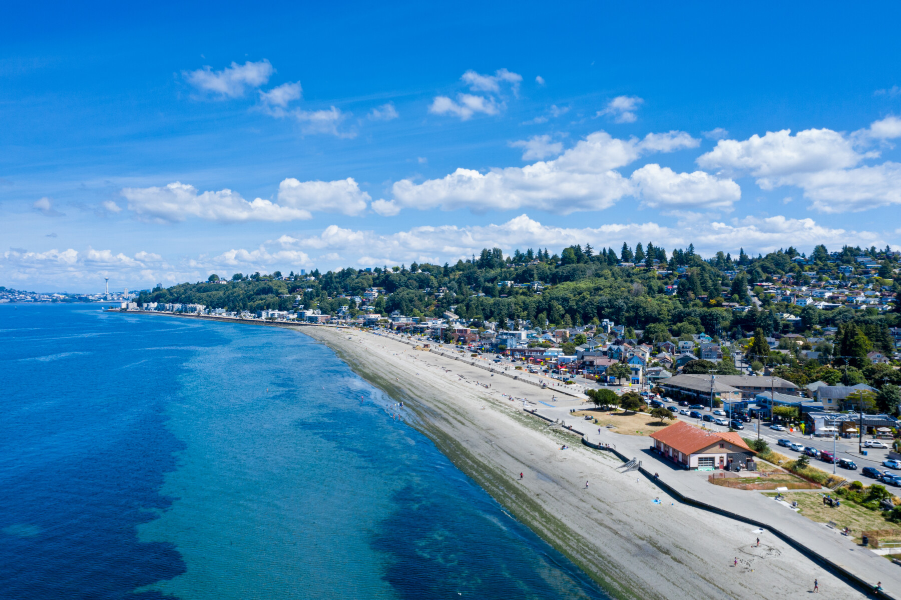 Aerial view of Alki Beach, showing the sandy shoreline, a coastal road near areas of West Seattle business relocation, and houses nestled in the wooded hillside above.